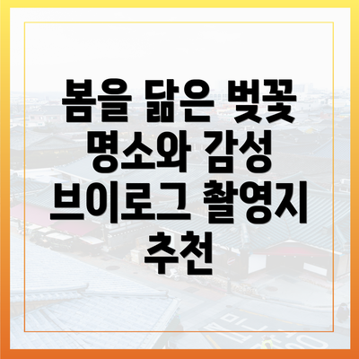 봄을 닮은 벚꽃 명소와 감성 브이로그 촬영지 추천