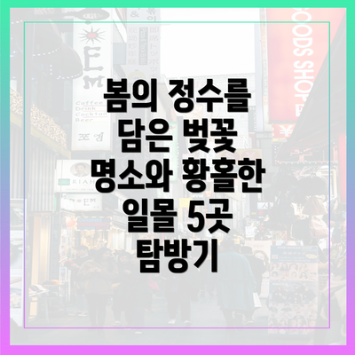 봄의 정수를 담은 벚꽃 명소와 황홀한 일몰 5곳 탐방기