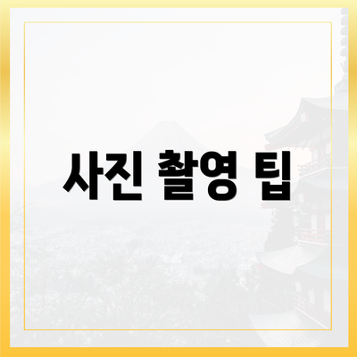 사진 촬영 팁