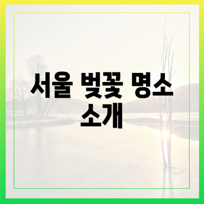 서울 벚꽃 명소 소개