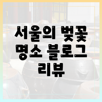 서울의 벚꽃 명소 블로그 리뷰