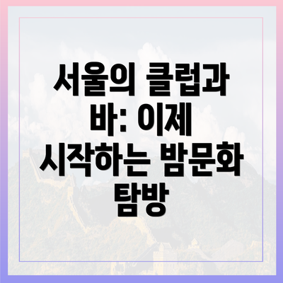 서울의 클럽과 바: 이제 시작하는 밤문화 탐방