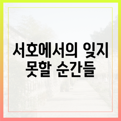 서호에서의 잊지 못할 순간들