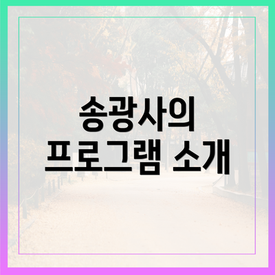 송광사의 프로그램 소개