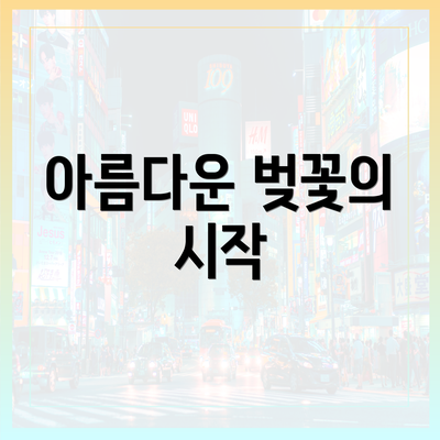 아름다운 벚꽃의 시작