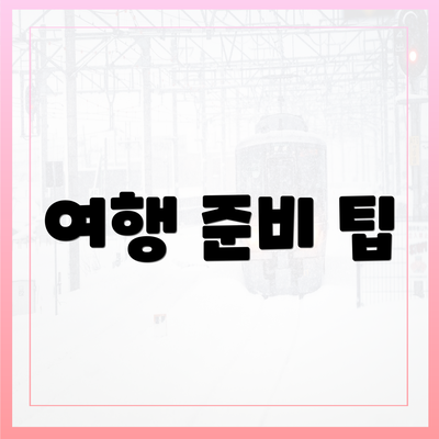 여행 준비 팁