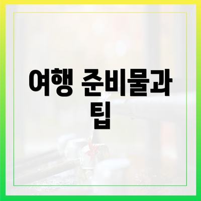 여행 준비물과 팁