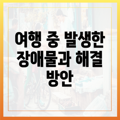 여행 중 발생한 장애물과 해결 방안