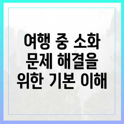 여행 중 소화 문제 해결을 위한 기본 이해