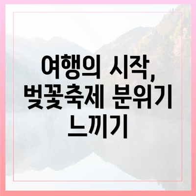 여행의 시작, 벚꽃축제 분위기 느끼기