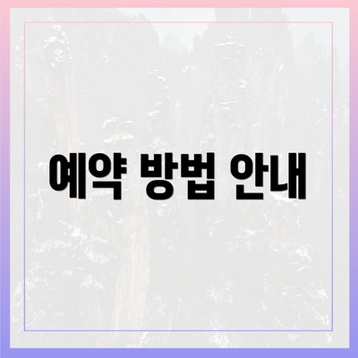 예약 방법 안내