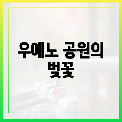 우에노 공원의 벚꽃