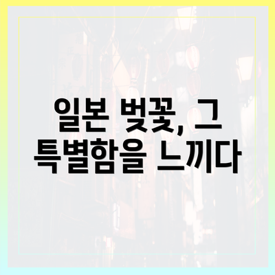 일본 벚꽃, 그 특별함을 느끼다