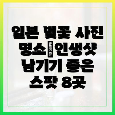 일본 벚꽃 사진 명소｜인생샷 남기기 좋은 스팟 8곳