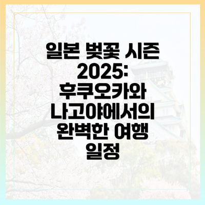 일본 벚꽃 시즌 2025: 후쿠오카와 나고야에서의 완벽한 여행 일정