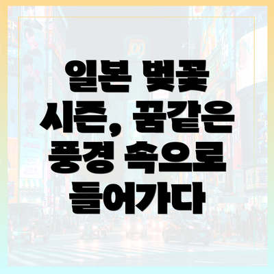 일본 벚꽃 시즌, 꿈같은 풍경 속으로 들어가다