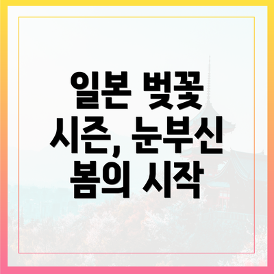 일본 벚꽃 시즌, 눈부신 봄의 시작