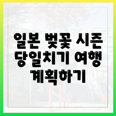 일본 벚꽃 시즌 당일치기 여행 계획하기