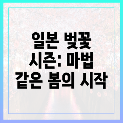 일본 벚꽃 시즌: 마법 같은 봄의 시작