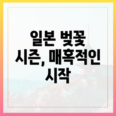 일본 벚꽃 시즌, 매혹적인 시작