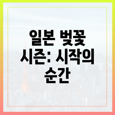 일본 벚꽃 시즌: 시작의 순간