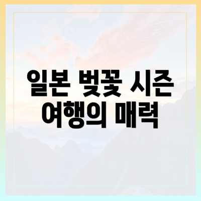 일본 벚꽃 시즌 여행의 매력