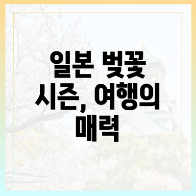 일본 벚꽃 시즌, 여행의 매력