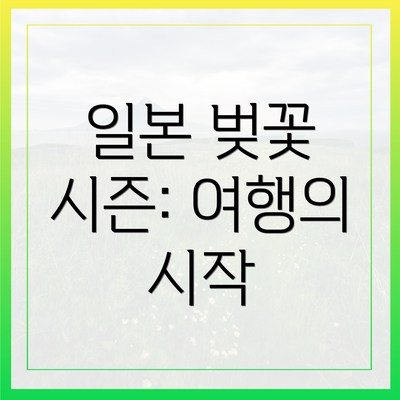 일본 벚꽃 시즌: 여행의 시작