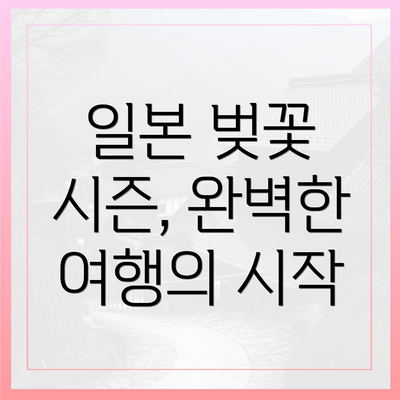 일본 벚꽃 시즌, 완벽한 여행의 시작