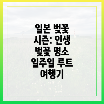 일본 벚꽃 시즌: 인생 벚꽃 명소 일주일 루트 여행기