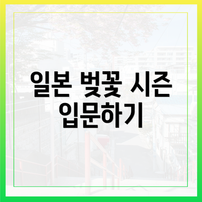 일본 벚꽃 시즌 입문하기