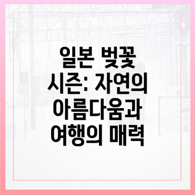 일본 벚꽃 시즌: 자연의 아름다움과 여행의 매력