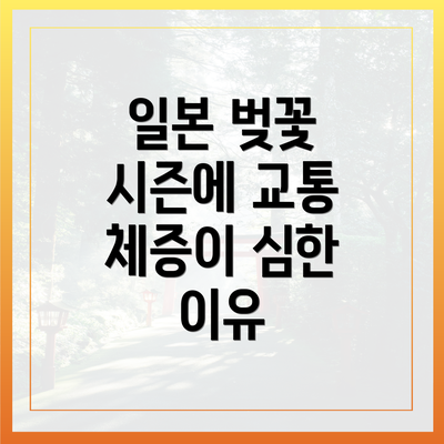 일본 벚꽃 시즌에 교통 체증이 심한 이유