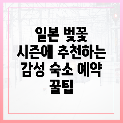 일본 벚꽃 시즌에 추천하는 감성 숙소 예약 꿀팁