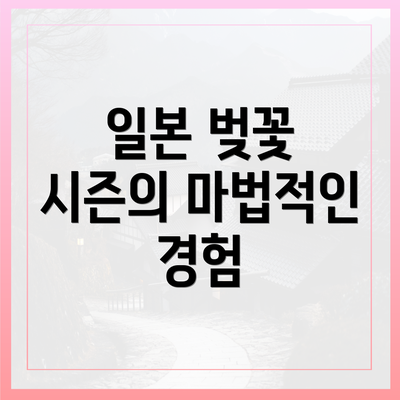 일본 벚꽃 시즌의 마법적인 경험