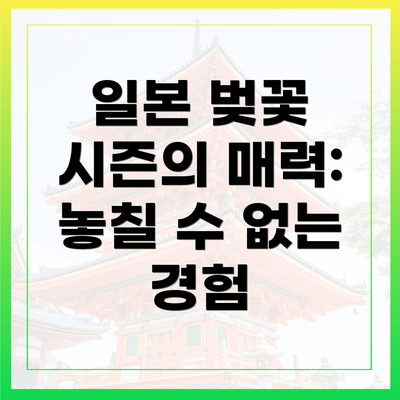 일본 벚꽃 시즌의 매력: 놓칠 수 없는 경험