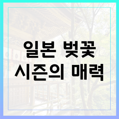 일본 벚꽃 시즌의 매력
