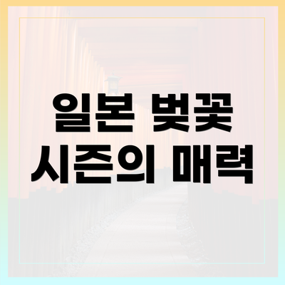 일본 벚꽃 시즌의 매력