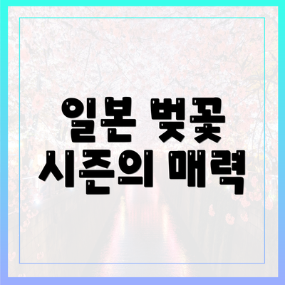 일본 벚꽃 시즌의 매력