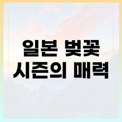 일본 벚꽃 시즌의 매력