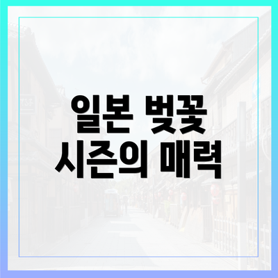 일본 벚꽃 시즌의 매력