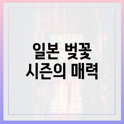 일본 벚꽃 시즌의 매력