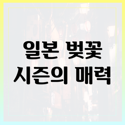 일본 벚꽃 시즌의 매력