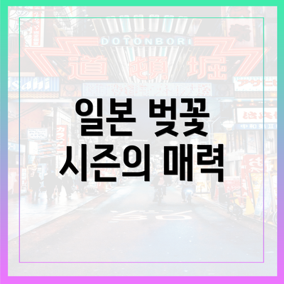 일본 벚꽃 시즌의 매력