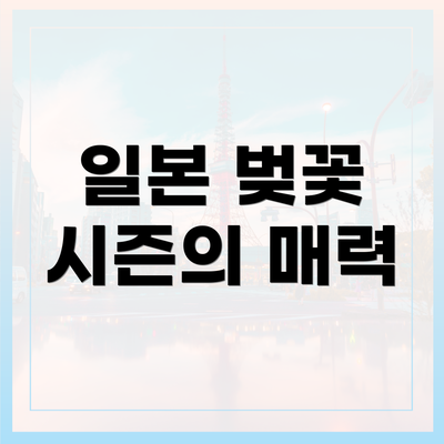 일본 벚꽃 시즌의 매력