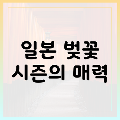 일본 벚꽃 시즌의 매력