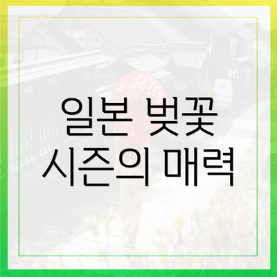 일본 벚꽃 시즌의 매력