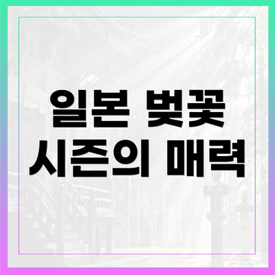 일본 벚꽃 시즌의 매력