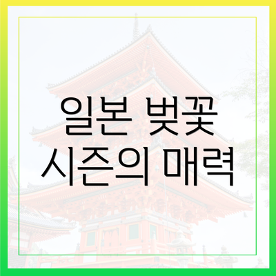 일본 벚꽃 시즌의 매력