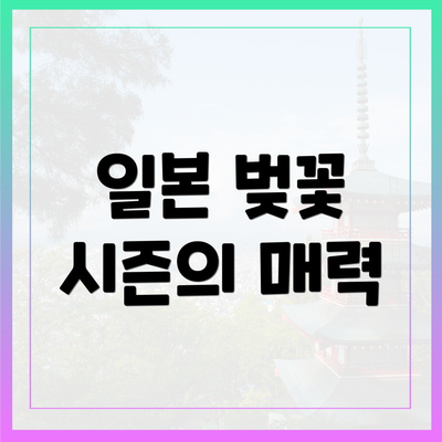 일본 벚꽃 시즌의 매력